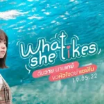 ฉันวาย นายเกย์