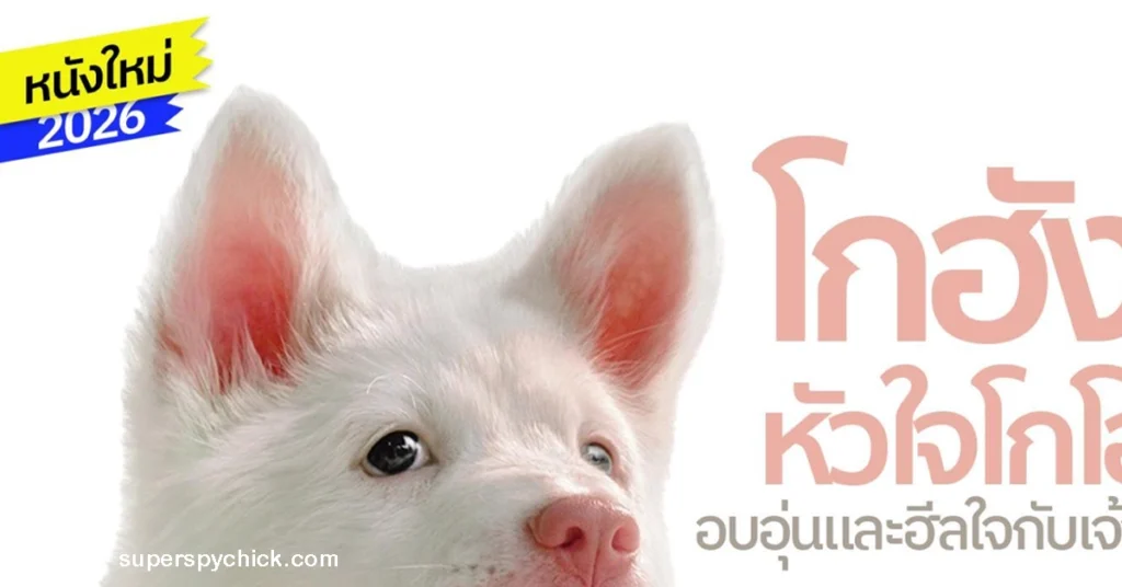 GOHAN โกฮัง หัวใจโกโฮม